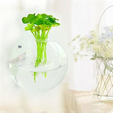 CS Glassworks Terrarium wall vases