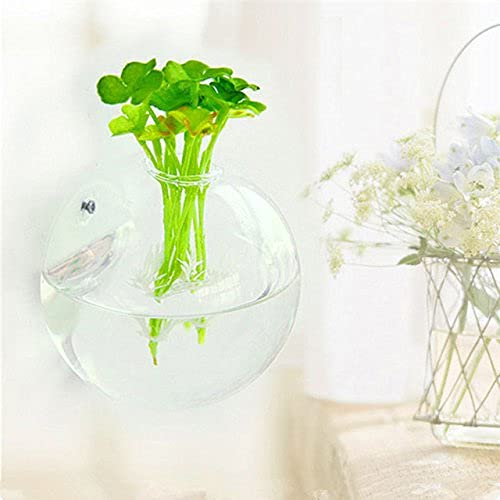 CS Glassworks Terrarium wall vases