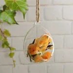 oval shape hanging planter (1)