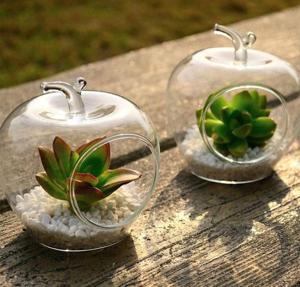 glass pot for bamboo plant