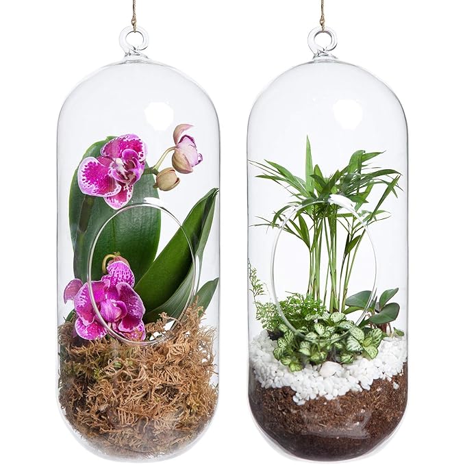 Crystal Glass Hanging Planter Capsule Shape Terrarium - 9 inches